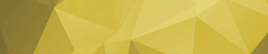 Ar Banner 800 Facet
