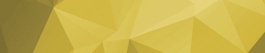 Ar Banner 800 Facet