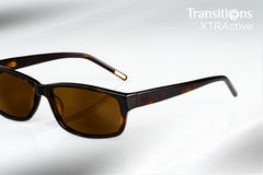 Transitions XTR Active Brown activated 1