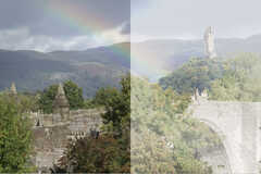 Nupolar Polarised Castle