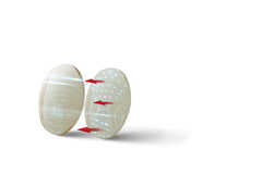 Acutech ilustration lens copia