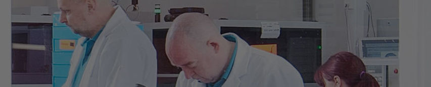 Services  Header