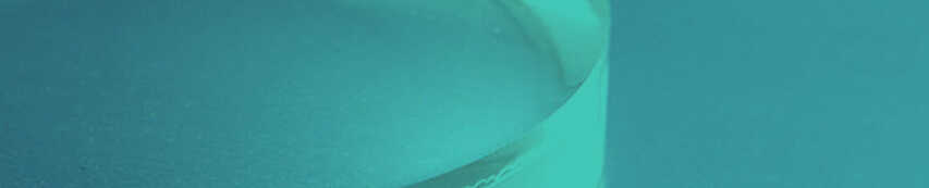 Lenticular Header